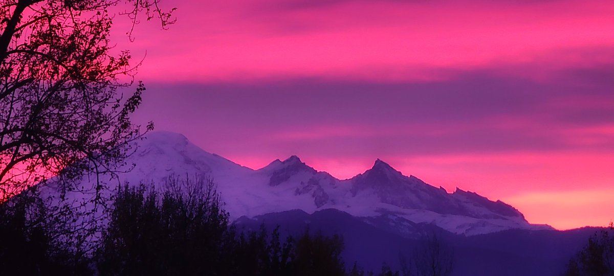 JonathonMcIntyre tweet media