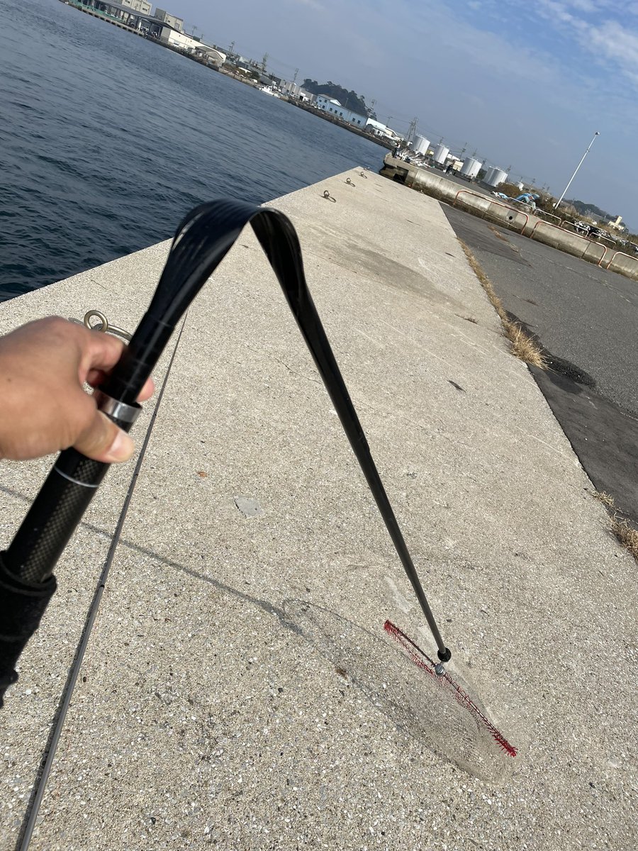 fishingteamkaze's tweet photo. 11月23日篠島木島前ハニーケーソンでの釣果です。魚掬ったらタモの柄がバキ…😭 https://t.co/EkEvuXpE3f