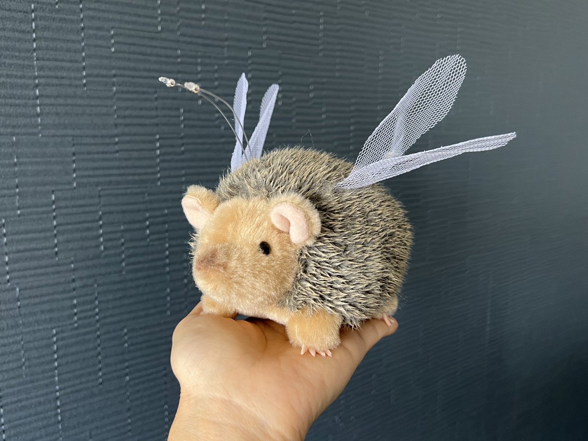 UMA界で最もキュートと言われている空飛ぶハリネズミ、ティジー