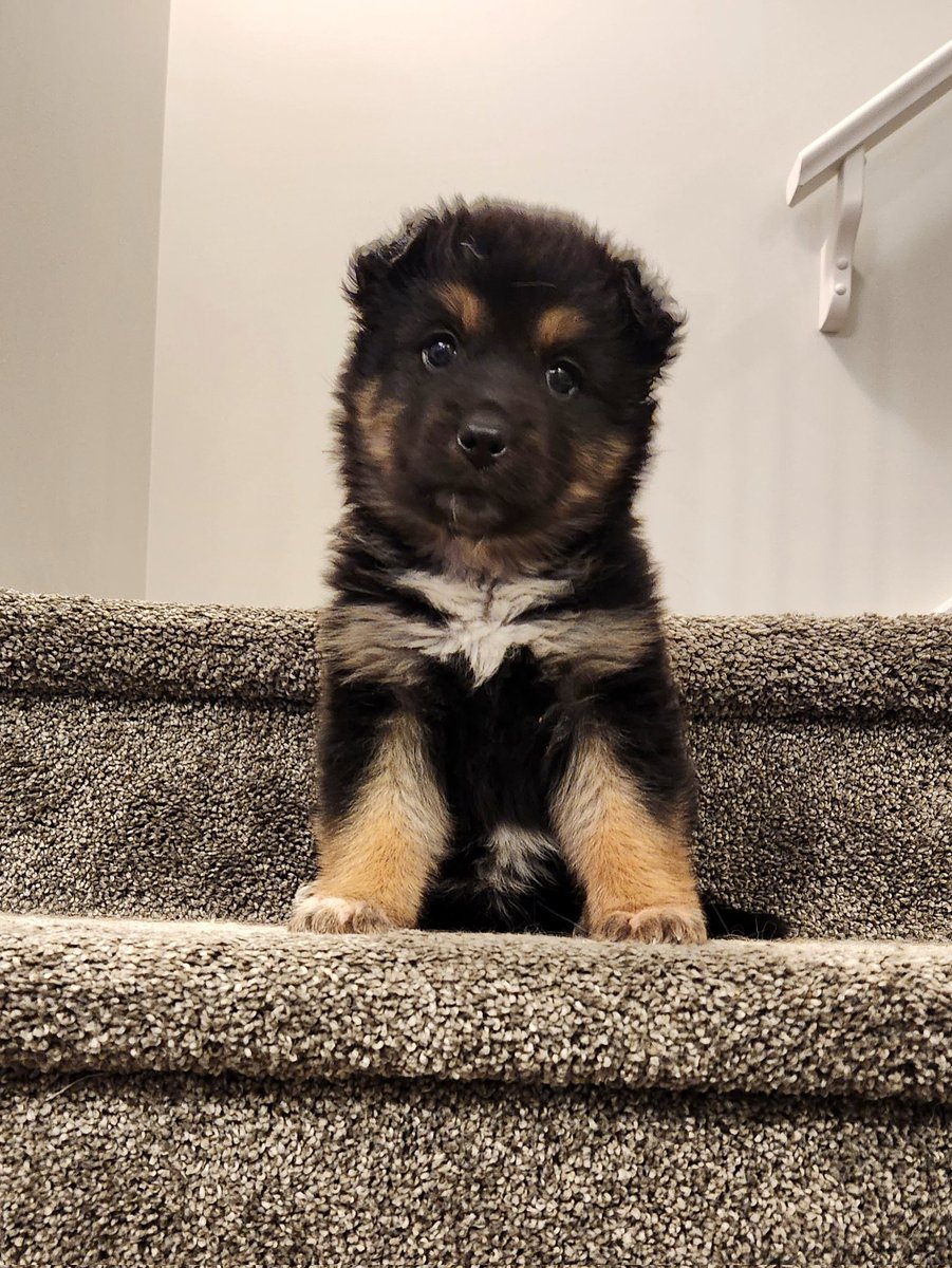 Mandy 🍵 tweet media