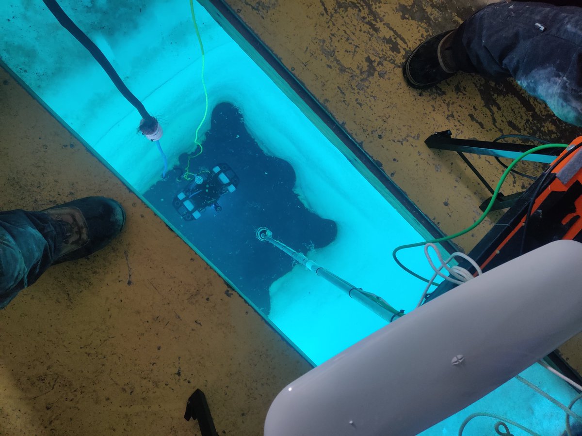 Under-ice ecosystems are extremely hard to access & monitor.  This is the first dive of the custom @AntarcticSciAus Hyperspectral Imaging (HI) ROV #HIcyBot <3❄️🤖!  How can the technology improve monitoring of the sea-ice realm? Stay tuned!
With @JCMontesHerrera & @seafloorness