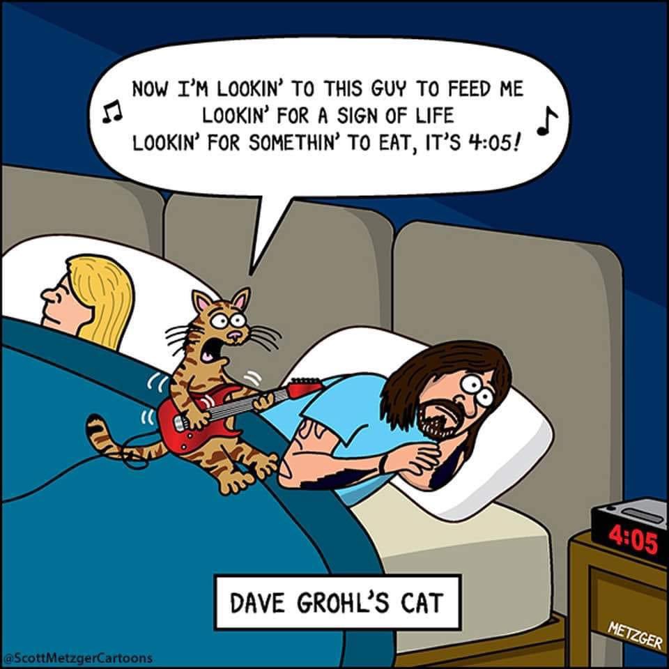 MarkJDavis's tweet photo. @dave_Grohl__ lol https://t.co/JYdgJWriVl