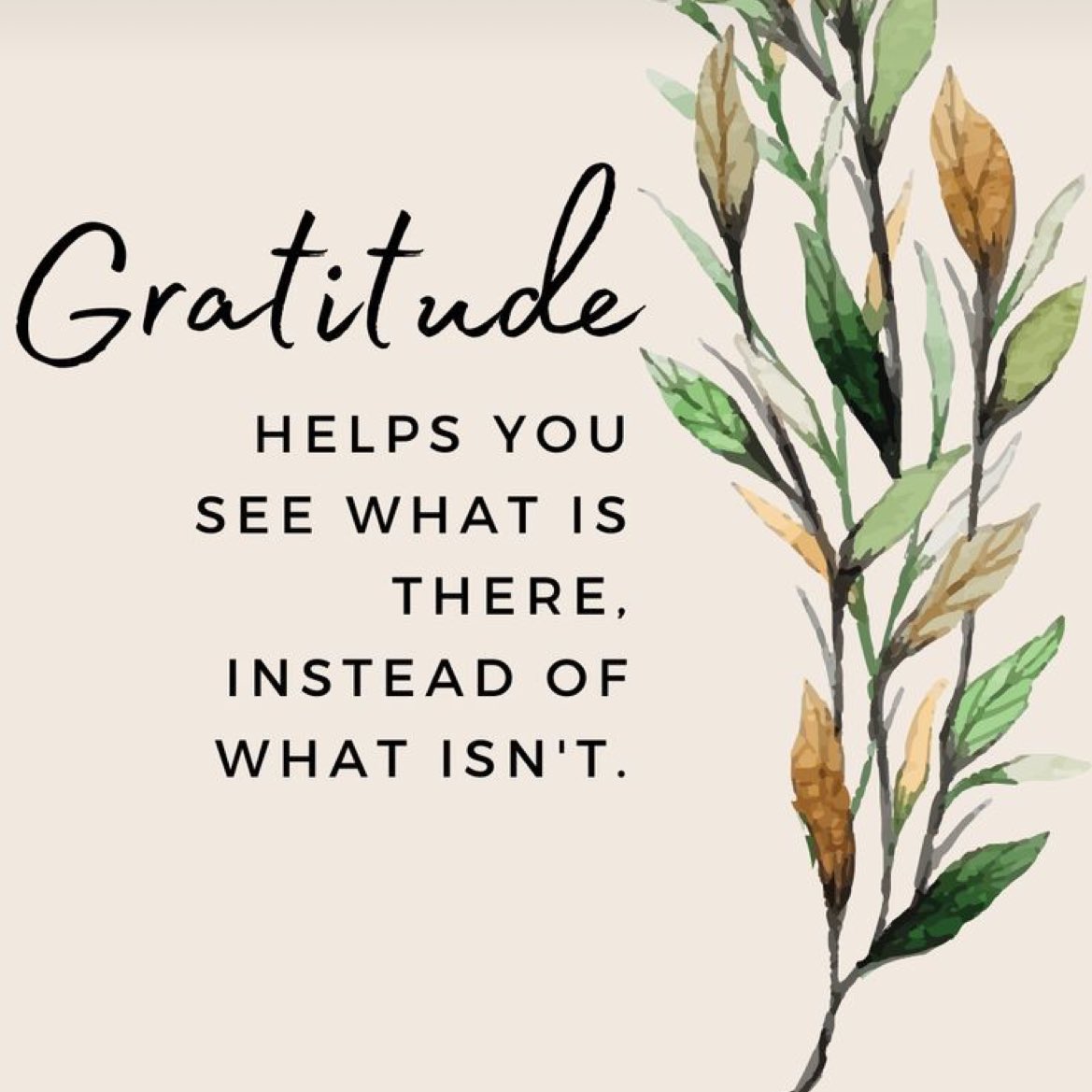On the eve of Thanksgiving, what are you grateful for? #gratitude