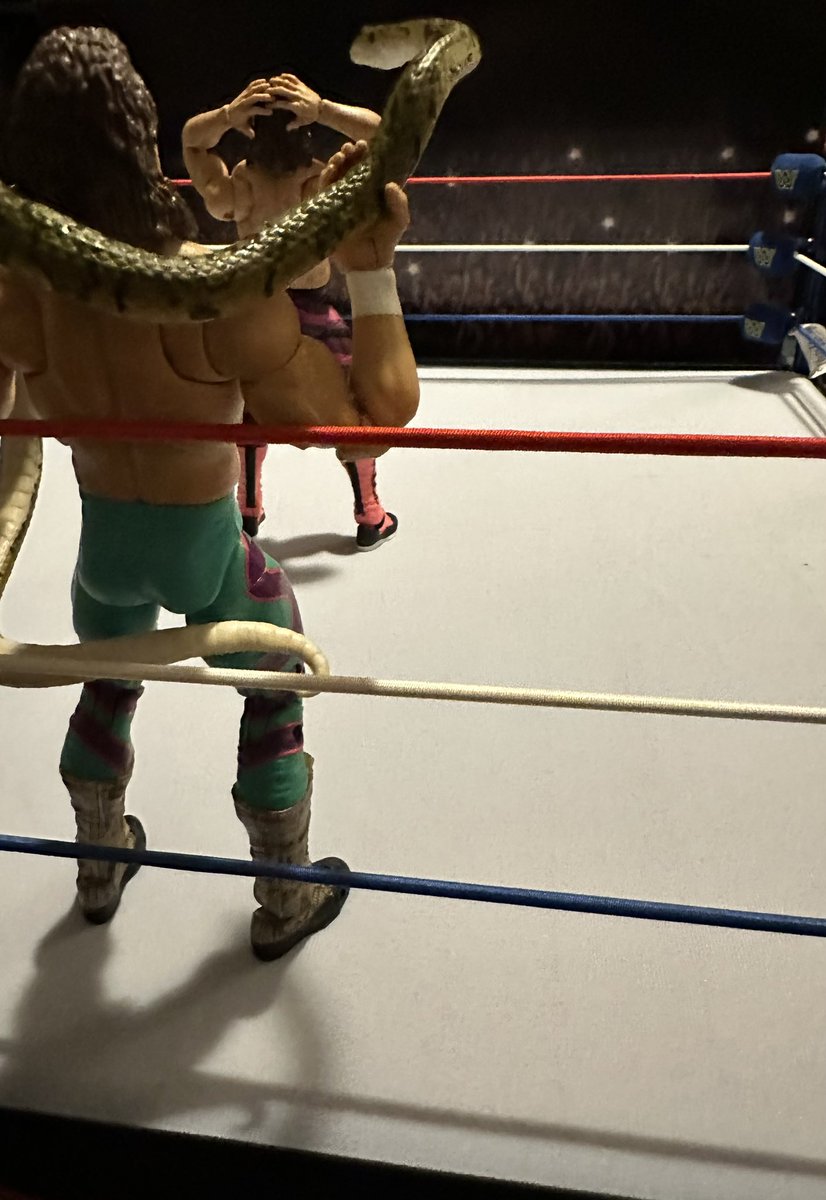 jonlyon813's tweet image. …Never turn your back on a snake @JakeSnakeDDT #ColiseumCollection #wweEliteSquad