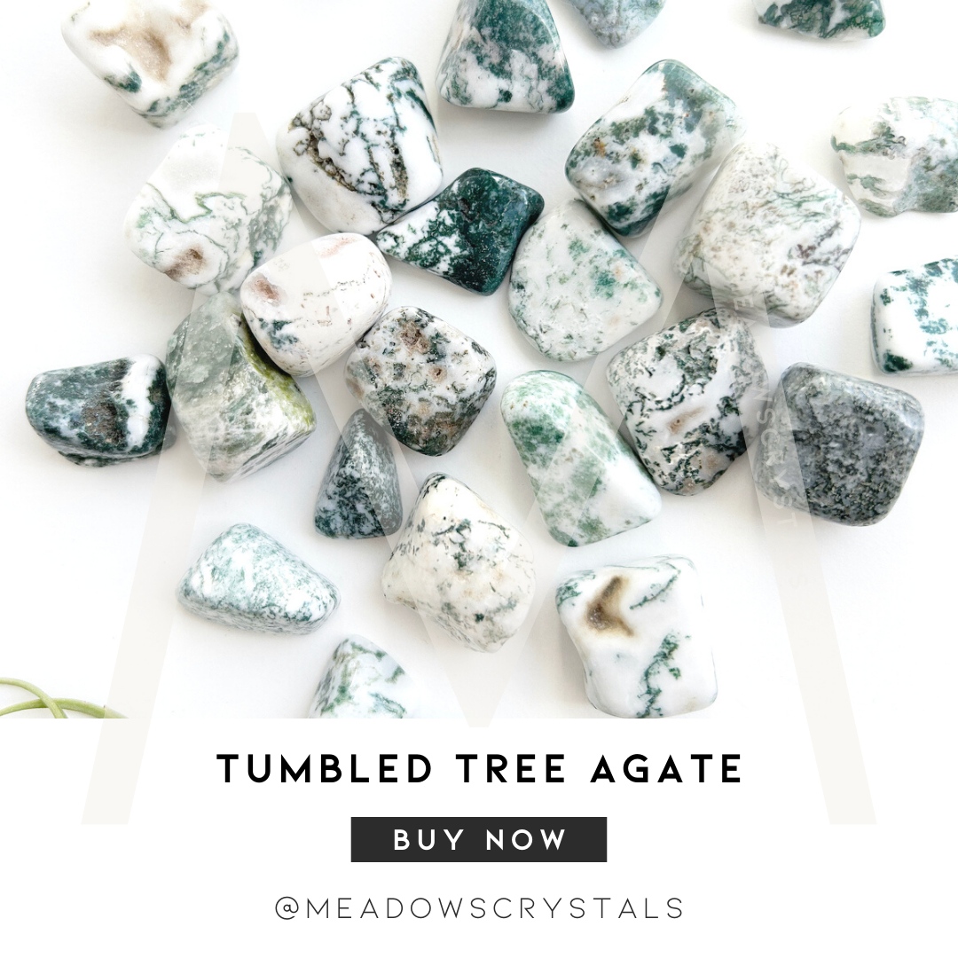 meadowscrystals's tweet image. Unleash your inner Zen and feel the incredible energy that comes from aligning with the Earth.  It&apos;s time to embark on a journey of serenity and growth. 🌿✨ 

l8r.it/XVXi

#ZenJewelry #MeadowsCrystals #TreeAgate #Crystals