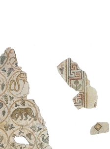 James Donaldson tweet media