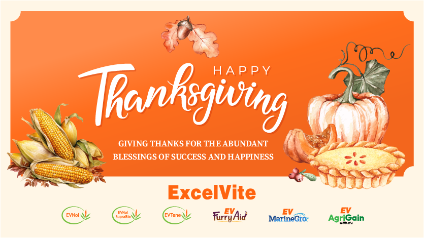 excelvite's tweet photo. 🍂 Wishing you a Thanksgiving filled with warmth, gratitude, and the joy of sharing special moments with loved ones. From our family to yours, Happy Thanksgiving! 🦃🍁 #ThanksgivingJoy #GratefulHeart https://t.co/HGOCzyjeDt