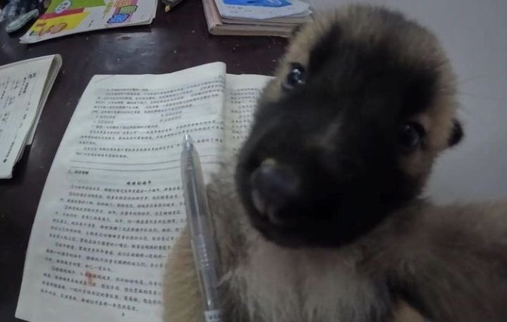 los lindos estudiamos 2 semanas antes de terminar el colegio