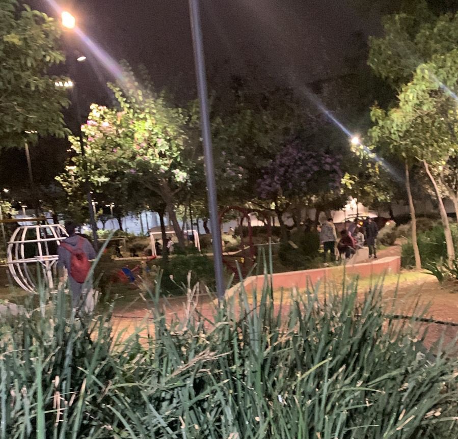 #LagoAlberto 🚴🏻‍♂️🌳 tweet media