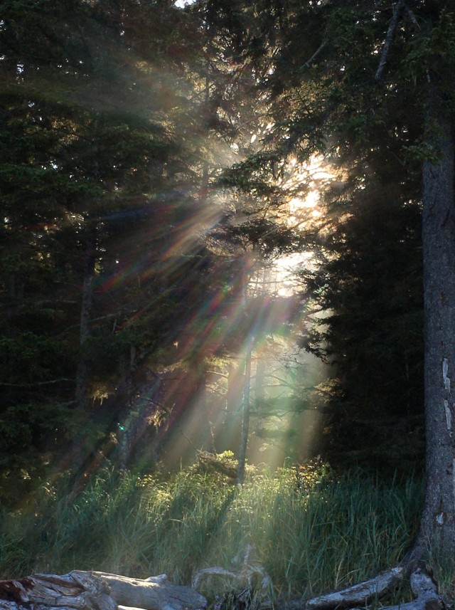 poeticalphotos's tweet photo. https://t.co/cZo3fo626n