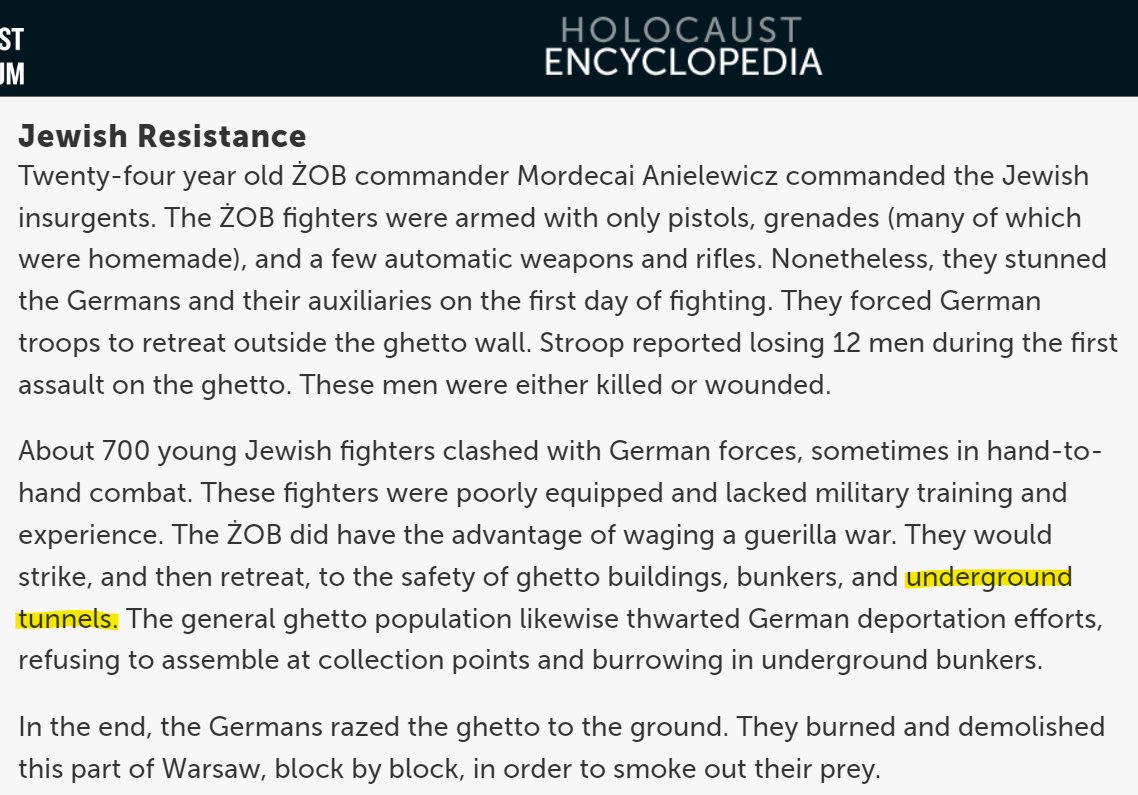 According to Israeli/Zionist logic, the 700 Jewish fighters of the