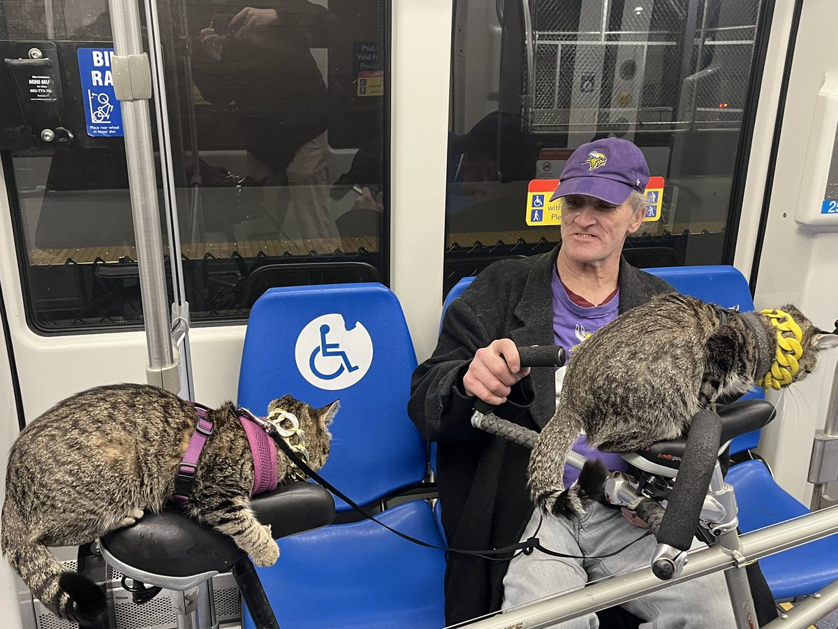 Gustav DeMars tweet media