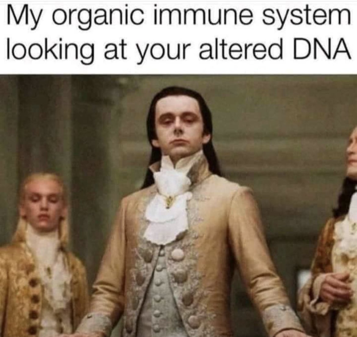 kiikthesneek's tweet image. Who needs the clot shot when you've got a body with a built in toolkit? #fauciouchie #clotshot #naturalimmunity