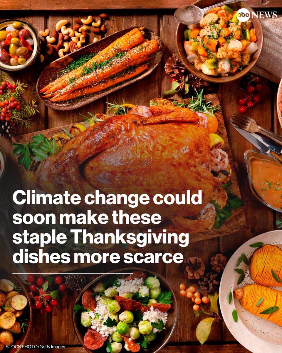 ABC's tweet photo. Thanksgiving could soon become another victim of climate change as rising temperatures threaten the abundance and quality of the ingredients used to make some traditional dishes. https://t.co/oOS6204Oht https://t.co/t0iQaTQiCK