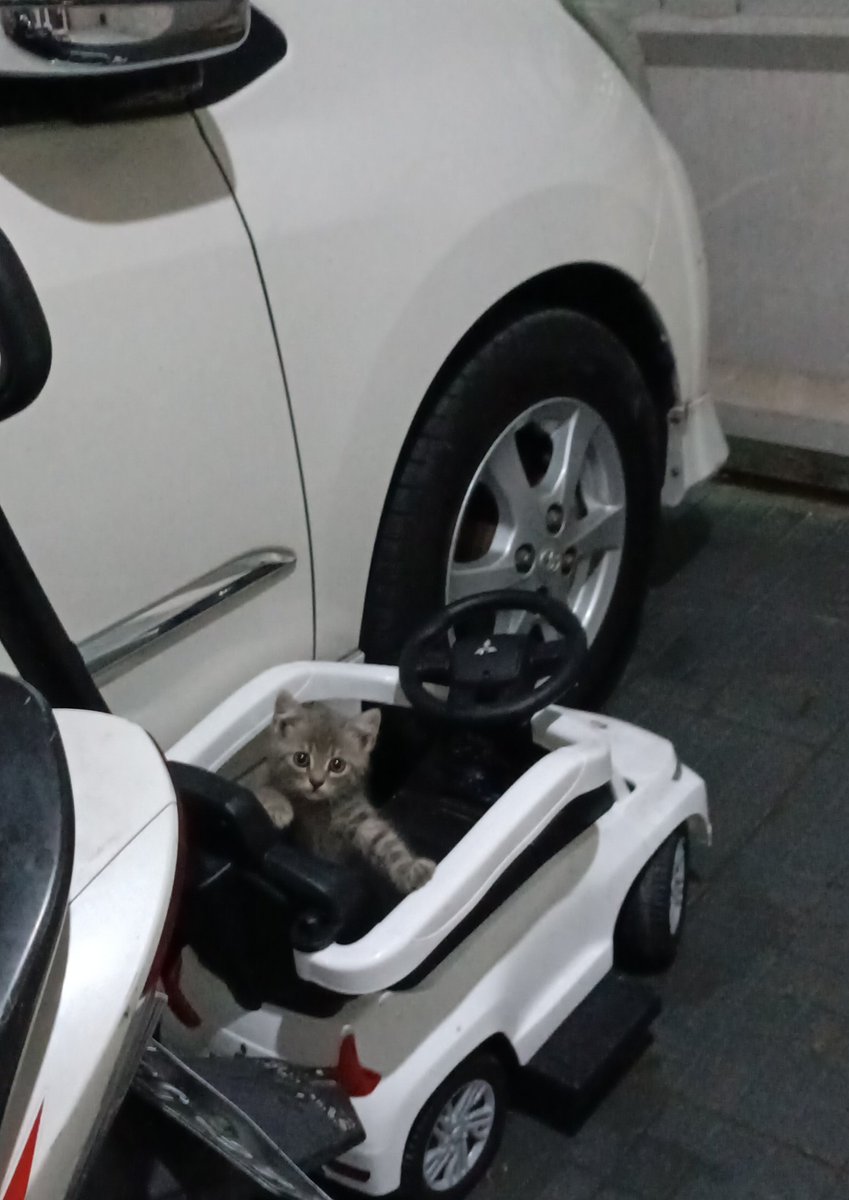 fanilatifaa's tweet photo. @tanyarlfes Jadi keinget, jam 11 malem saat lampu udah mati semua tiba tiba mobil mobilan anakku bunyi sendiri berkali kali padahal aku parkir di garasi, pelan pelan aku dengerin lagi, pas ada suara klakson, langsung aku nyalakan lampu garasi, ternyata ada yang mainin :( https://t.co/JjMWIMFsyF