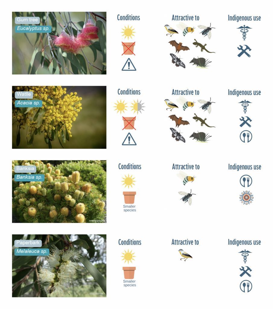 Always been curious about native plants and how to plant more in your outdoor space? Read on for our helpful guide to get you on your way to a thriving native garden that will see all the bees, birds, and butterflies come fluttering in! buff.ly/40lk4ki #MyNatureBlock