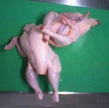 Happy Thanksgiving <a href="/CrooklynMMA/">Stephie Haynes</a> !