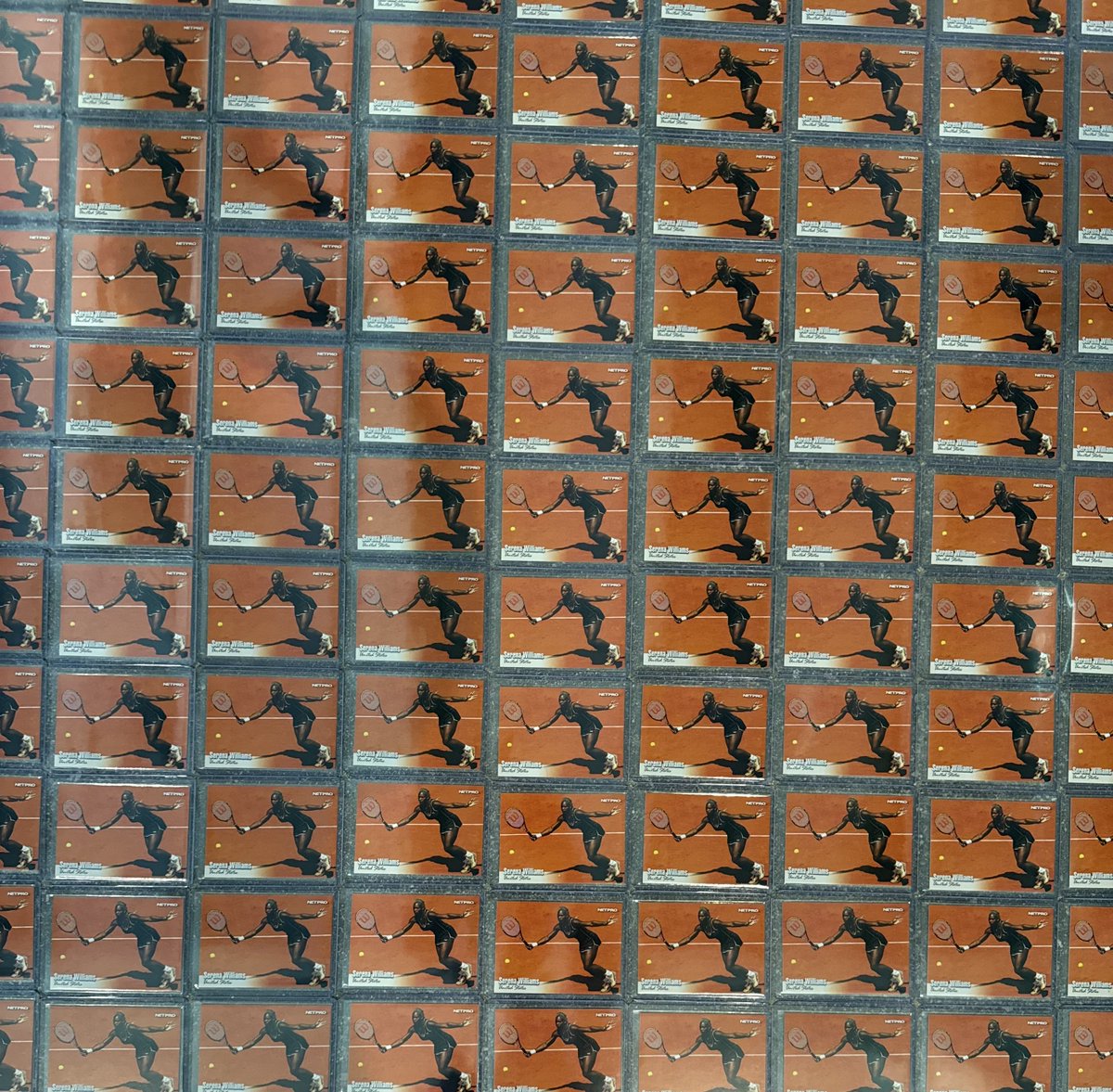 alexisohanian's tweet image. The Serena Collection I've built for our family is no joke...