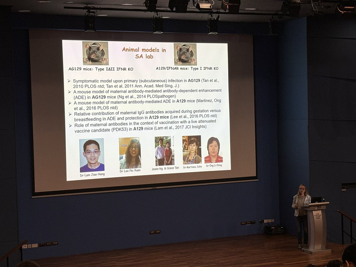 2 presentations in a month, this time round at #IVBDC23. <a href="/NUSMedAlonsoS/">Sylvie Alonso</a> presenting the recent work on DENV NS1 done by Dr Fakhri :)