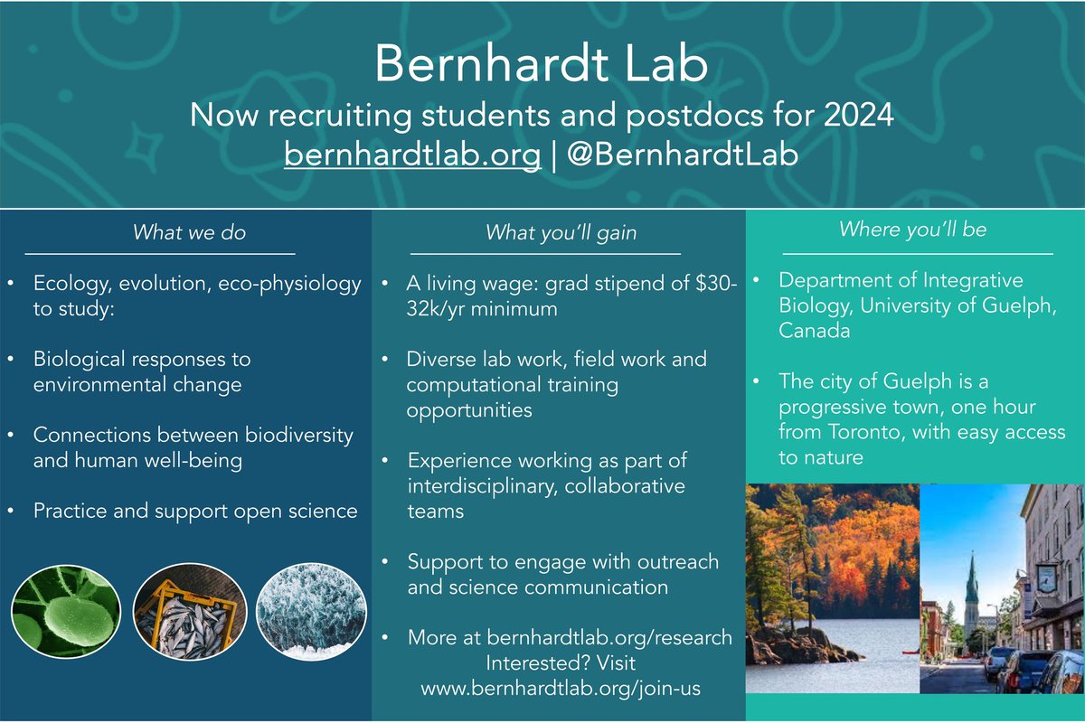 🌍 Join @BernhardtLab in 2024! 
🎓 Fully funded grad positions with a living wage! Explore adaptation to global change and the vital links between biodiversity and human well-being. Check details at bernhardtlab.org/join-us. Grad ad: bernhardtlab.org/s/grad-student… #GraduateResearch