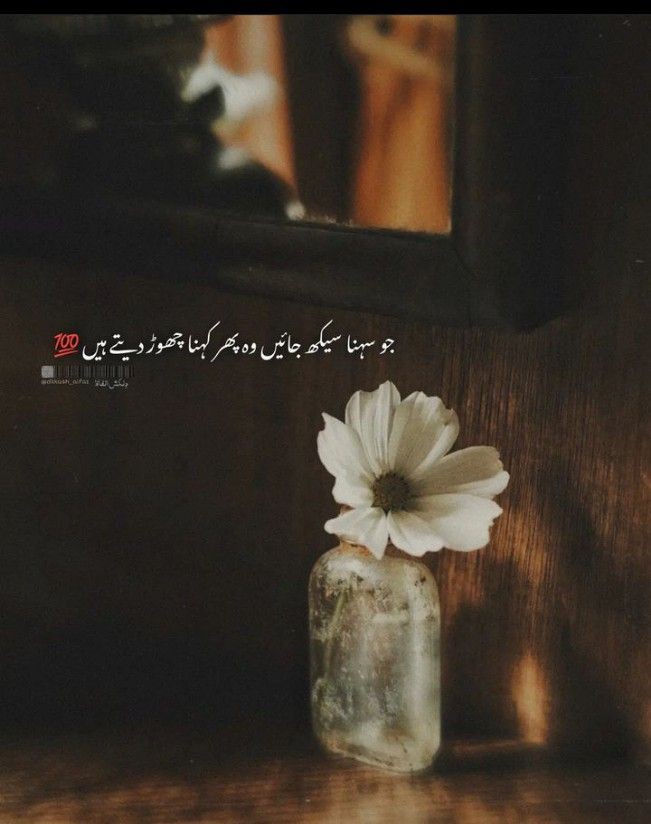 Kyfiat_e_Zindgi's tweet photo. زندگی میں کچھ چیزوں کا کوئی حل نہیں ہوتا بس انسان ان کے ساتھ جیئے جاتا ہے https://t.co/pajppogX3W