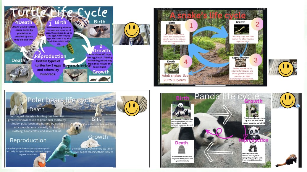 📱G3 students amped up their life cycle posters with @AppleEdu's #Keynote by adding a live camera to supplement the information already on their posters! 🐾 Extra facts, student creativity, and audience engagement on point! Kudos to <a href="/_priya/">Priya Jhaveri</a> for the tech tip! 👏 #EdTech