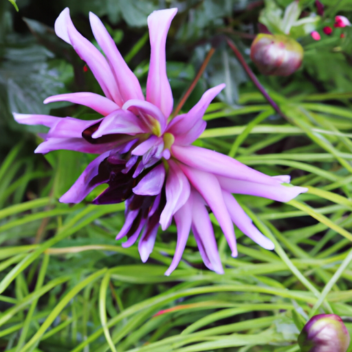 'The beauty of nature is on full display with these gorgeous flowers. Look at the vibrant colors, the perfect petals, and the sweet scent that fills the air! It's a reminder of the beauty that exists all around us. #FlowersForDays #GardenDreams #GrowSomethingBeautiful