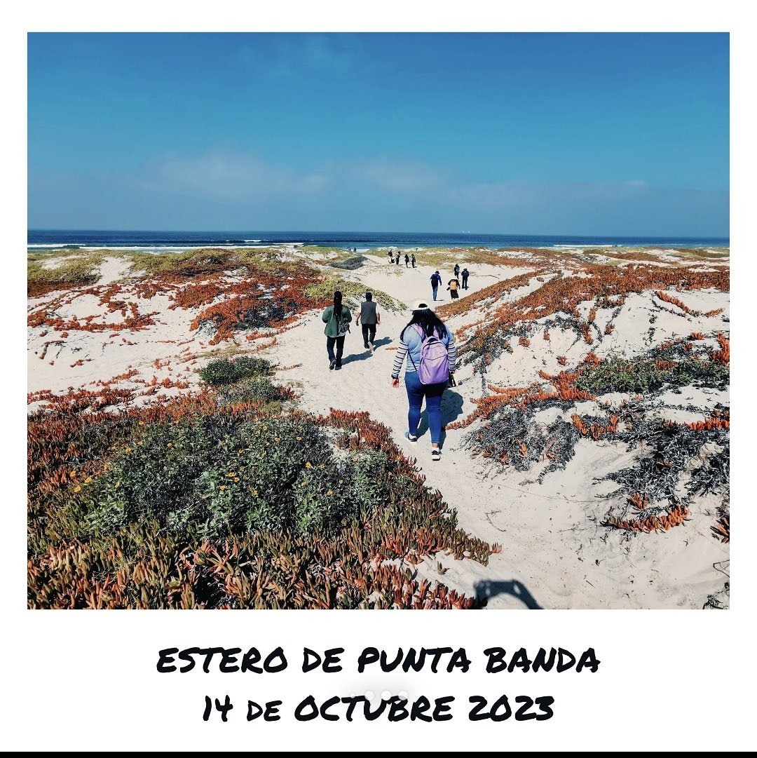 Sheccid Chagoya tweet media