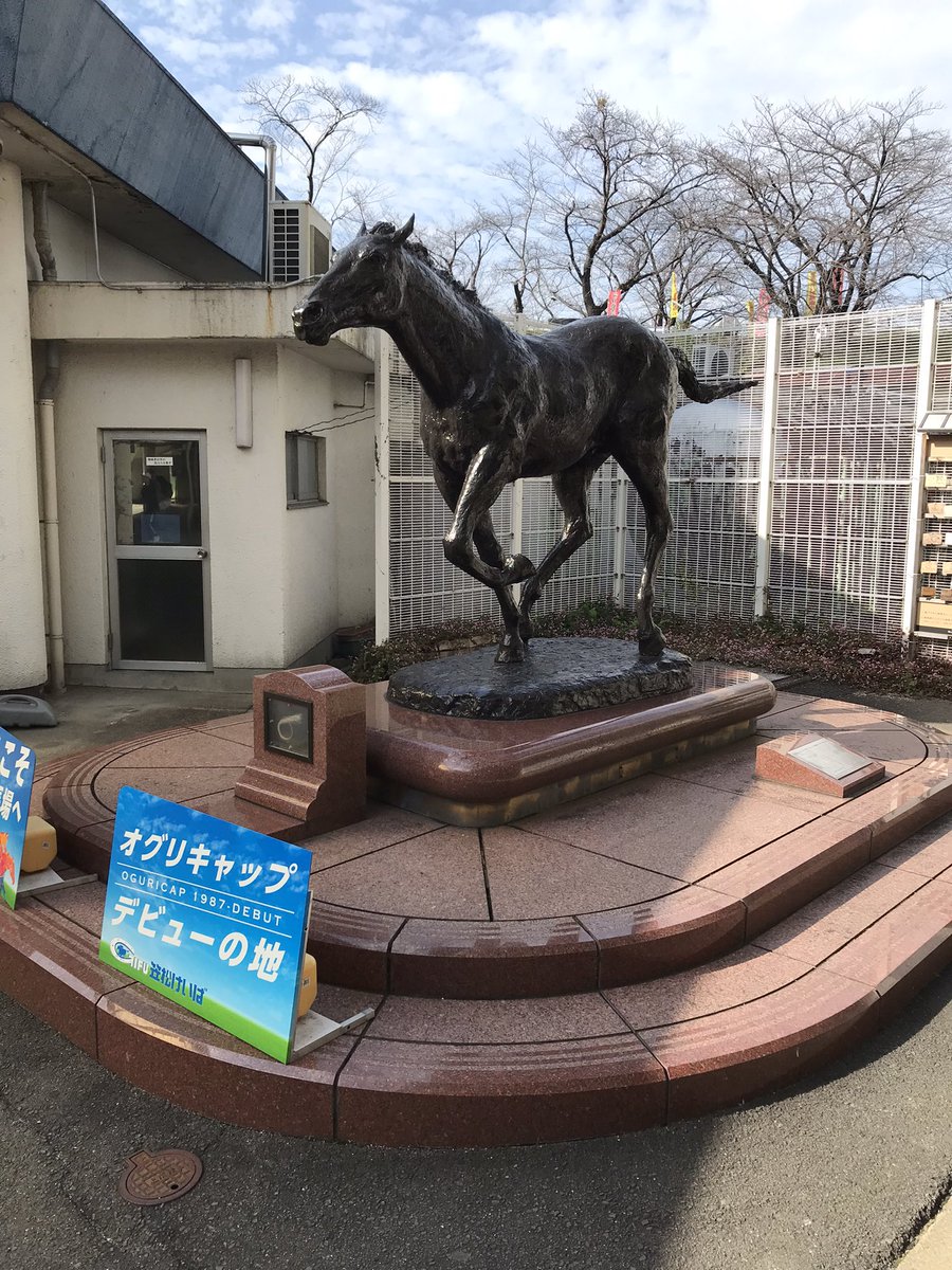 aaanee_e's tweet photo. 笠松参戦🏇 https://t.co/uImCtjcmS7