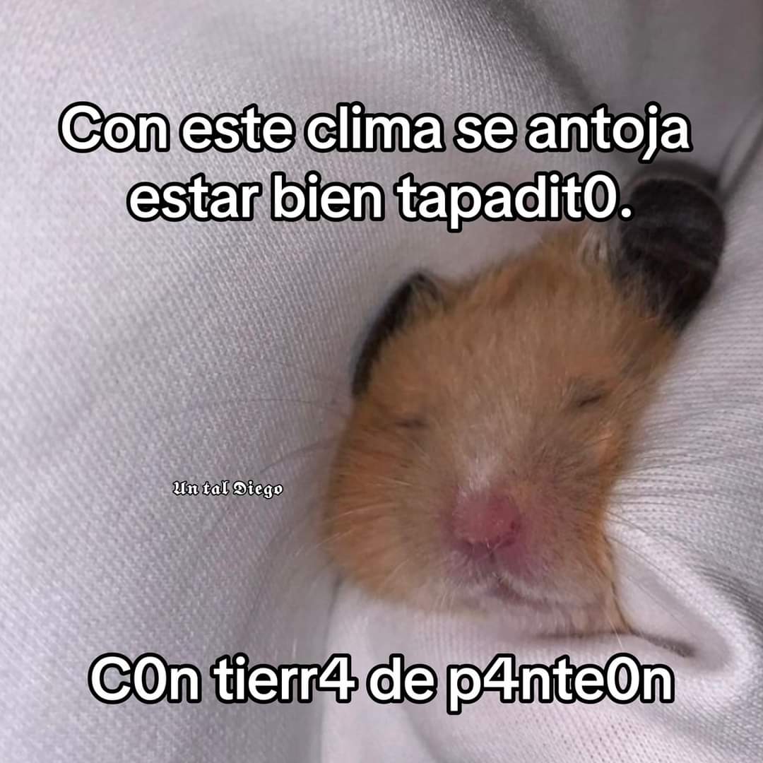 Nasty Poet (@nxstypxet) on Twitter photo 