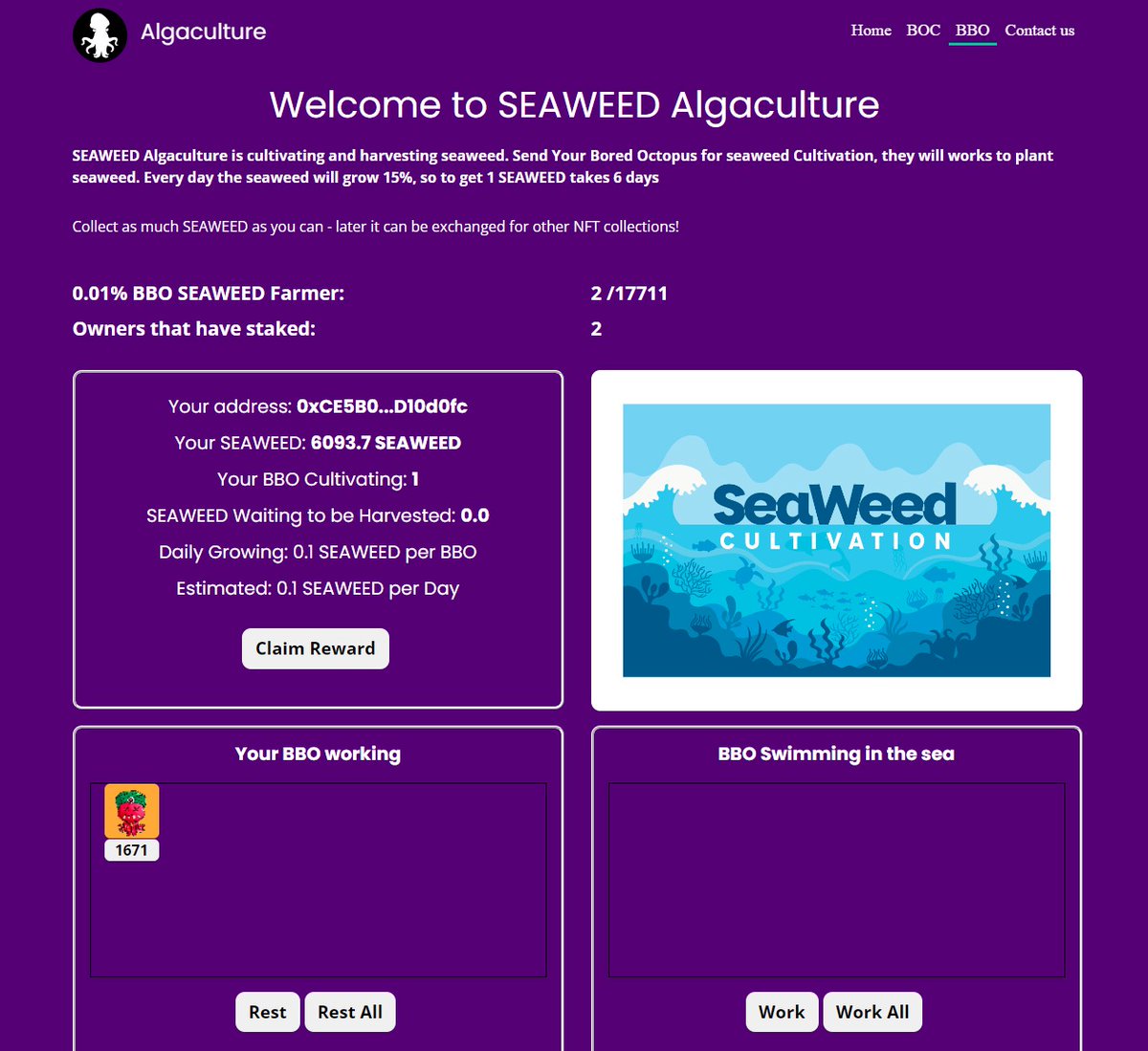 Bored Octopus Club tweet media