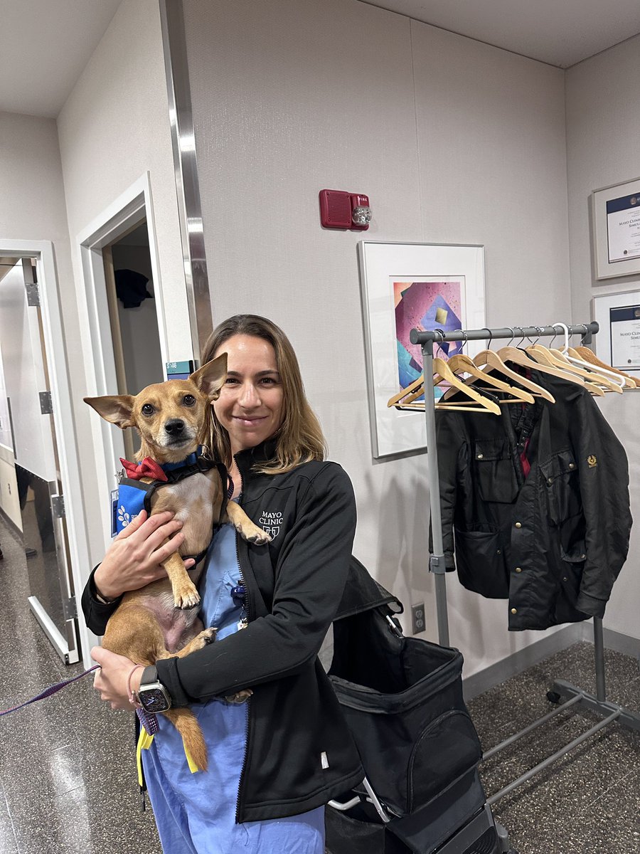 ROScorvalhala's tweet photo. Therapy Dog at the Sim Center https://t.co/gPDu3uZgcj