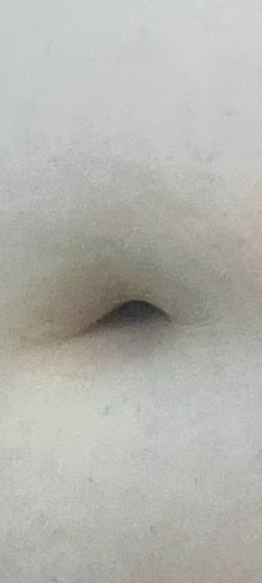 MTop4103's tweet photo. @ceciliaxemily So beautiful belly button mmmmomm ♥️ 💋 🔥 https://t.co/7mfSW9nS4o