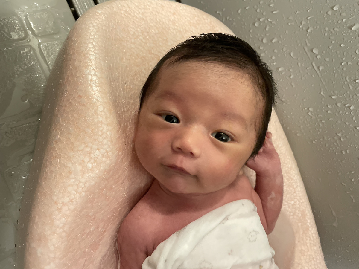 ヨッピー tweet media