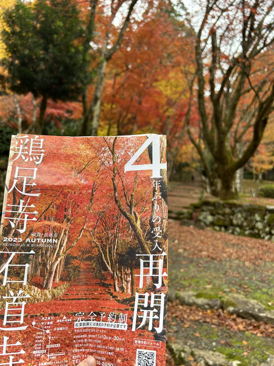 3s7s3's tweet photo. 鶏足寺 https://t.co/p7bmPIW6V9