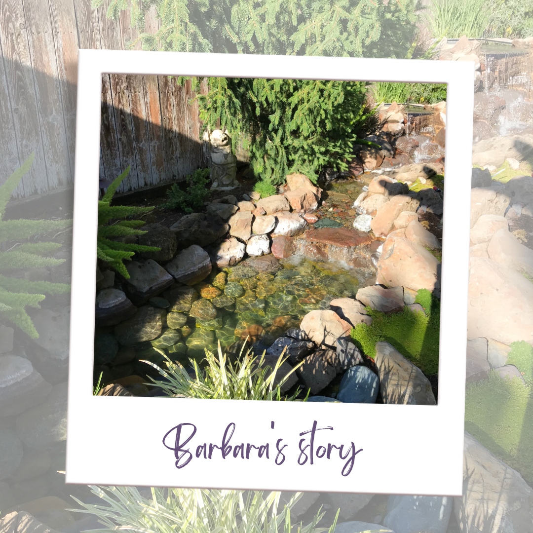 NualgiPonds's tweet photo. "I've had ponds for about 15 years. Until I found Nualgi I was always fighting off algae and it was a chore. Guess work and luck thankfully are no longer needed... String algae was the most difficult for me and it is now gone." - Barbara H. https://t.co/iukmHWmzZU