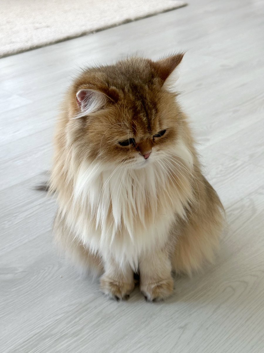 ถ่ายอีกแล้ว สวยเบื่อค่ะ