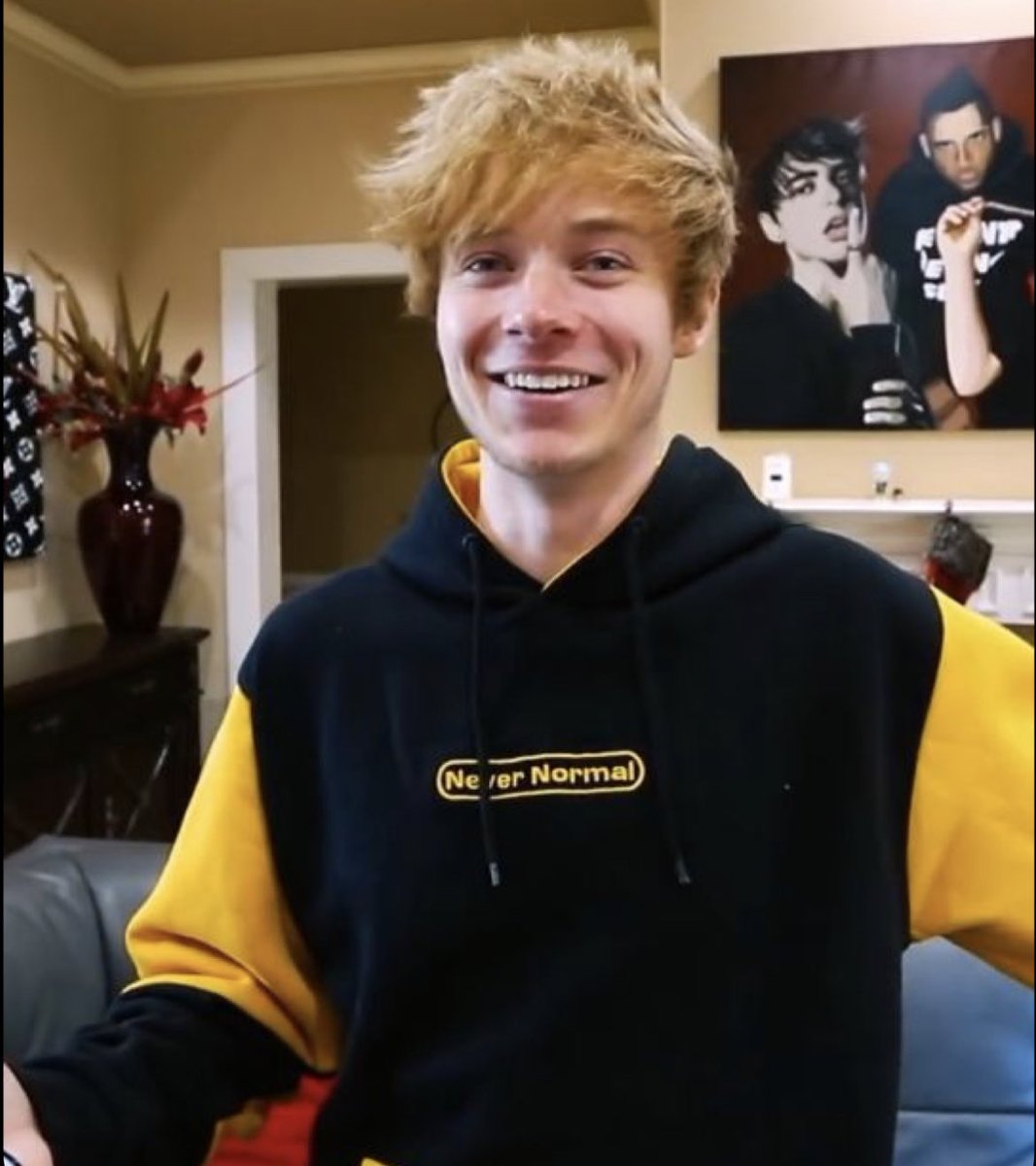adoreghst's tweet photo. sam golbach as jellycats ; a thread 🪡💛 https://t.co/9IrDDFLjh1