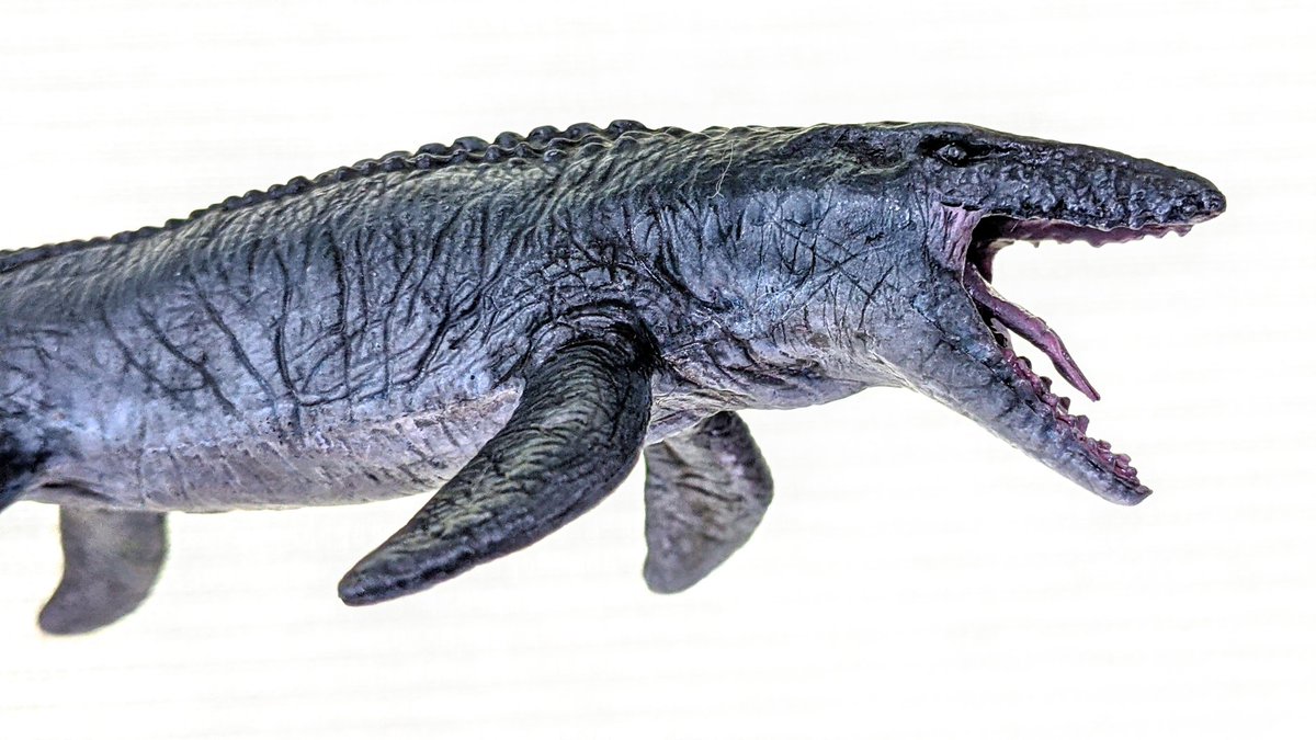 M14_16_21's tweet photo. 恐竜フィギュア　塗装の解説🦖

自分が愛用している、恐竜の塗装方法について解説します。

#プラモデル　#恐竜

続く https://t.co/jmyZRKv5Mo