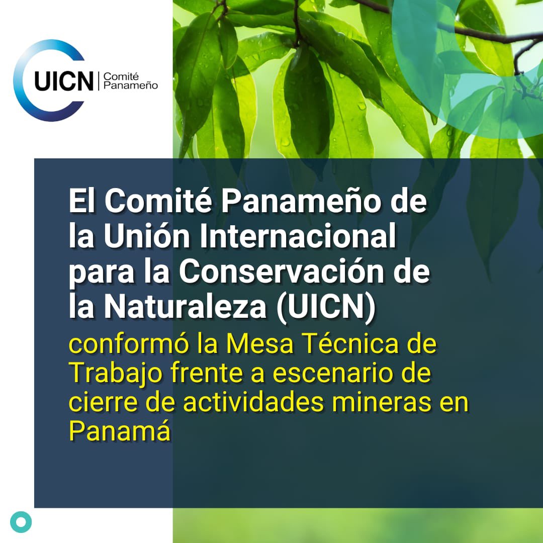 audubonpanama's tweet photo. El Comité Panameño de la UICN ha establecido una 'Mesa Técnica de Trabajo para Cierre de Minas’. Con la ayuda de expertos locales e intls. se informará y se estará vigilante a los procesos de cierre de la actividad minera metálica en el país, en cumplimiento de normas legales. https://t.co/aqEa5f0ndP
