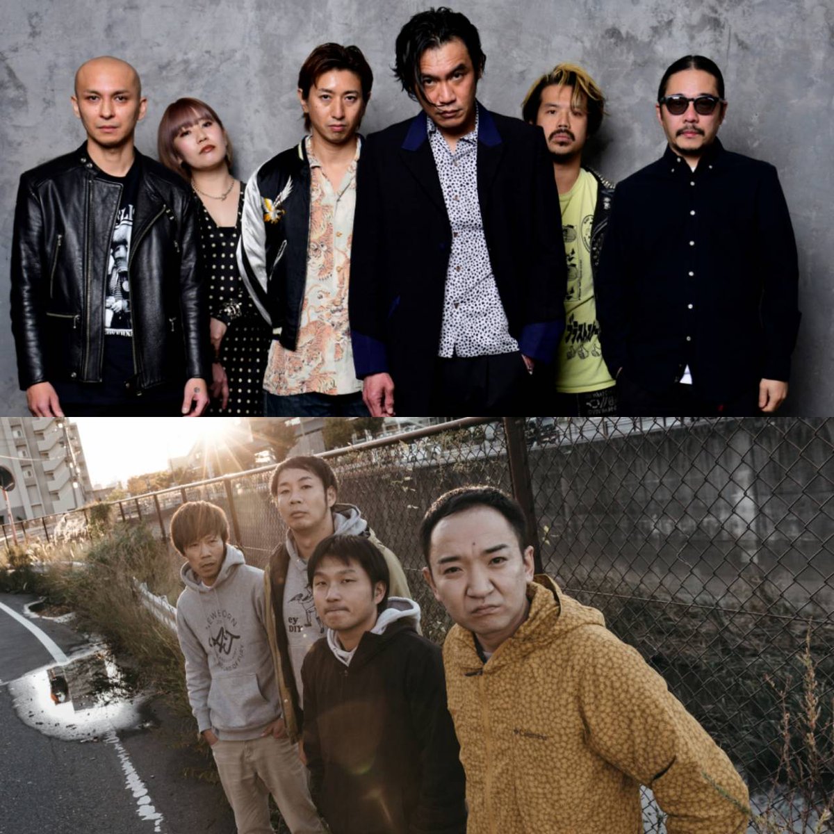 OLEDICKFOGGY's tweet photo. OLEDICKFOGGY x bacho TOUR 2024
「残夜の汀線TOUR Part 2」
1月26日（金）兵庫 神戸 太陽と虎
OPEN 18:30 START 19:00

1月27日（土）高知CARAVAN SARY
OPEN 18:00 START 19:00

1月28日（日）三重 四日市CLUB ROOTS
OPEN 17:00 START 18:00

TICKET
12/3 AM10:00～
https://t.co/kwoW7F1ILb https://t.co/HZ4athB77s