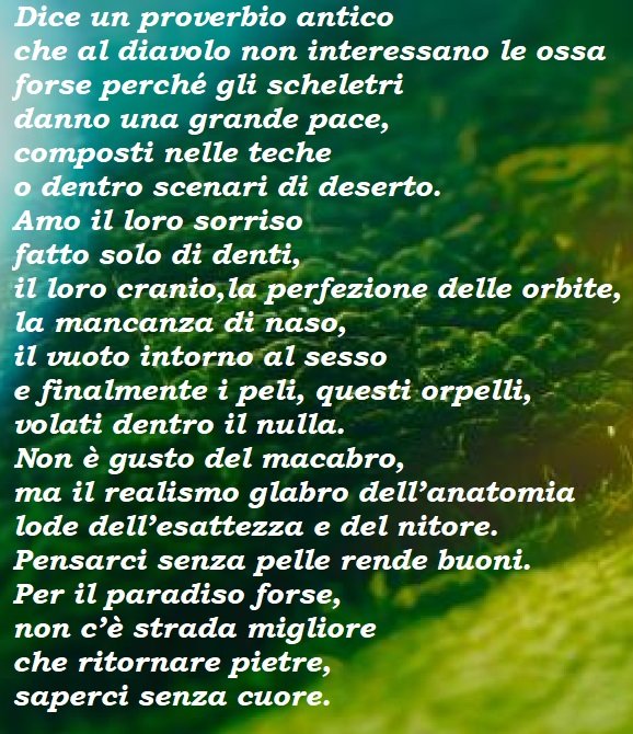 francomallone's tweet photo. https://t.co/jPU4FNnZ8T
