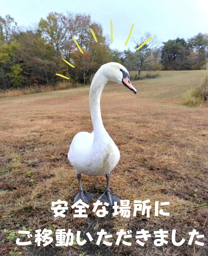 みなさま、空からコースインは大変危険ですのでご遠慮くださいますようお願いします🙅‍♂️