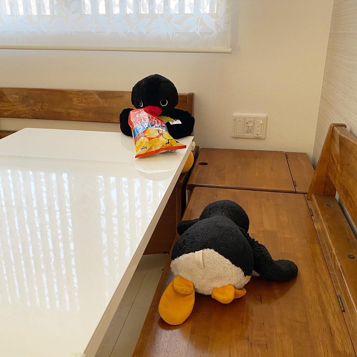 pingmyping's tweet photo. 🐧😏🥔 https://t.co/7h9YWlyXXd