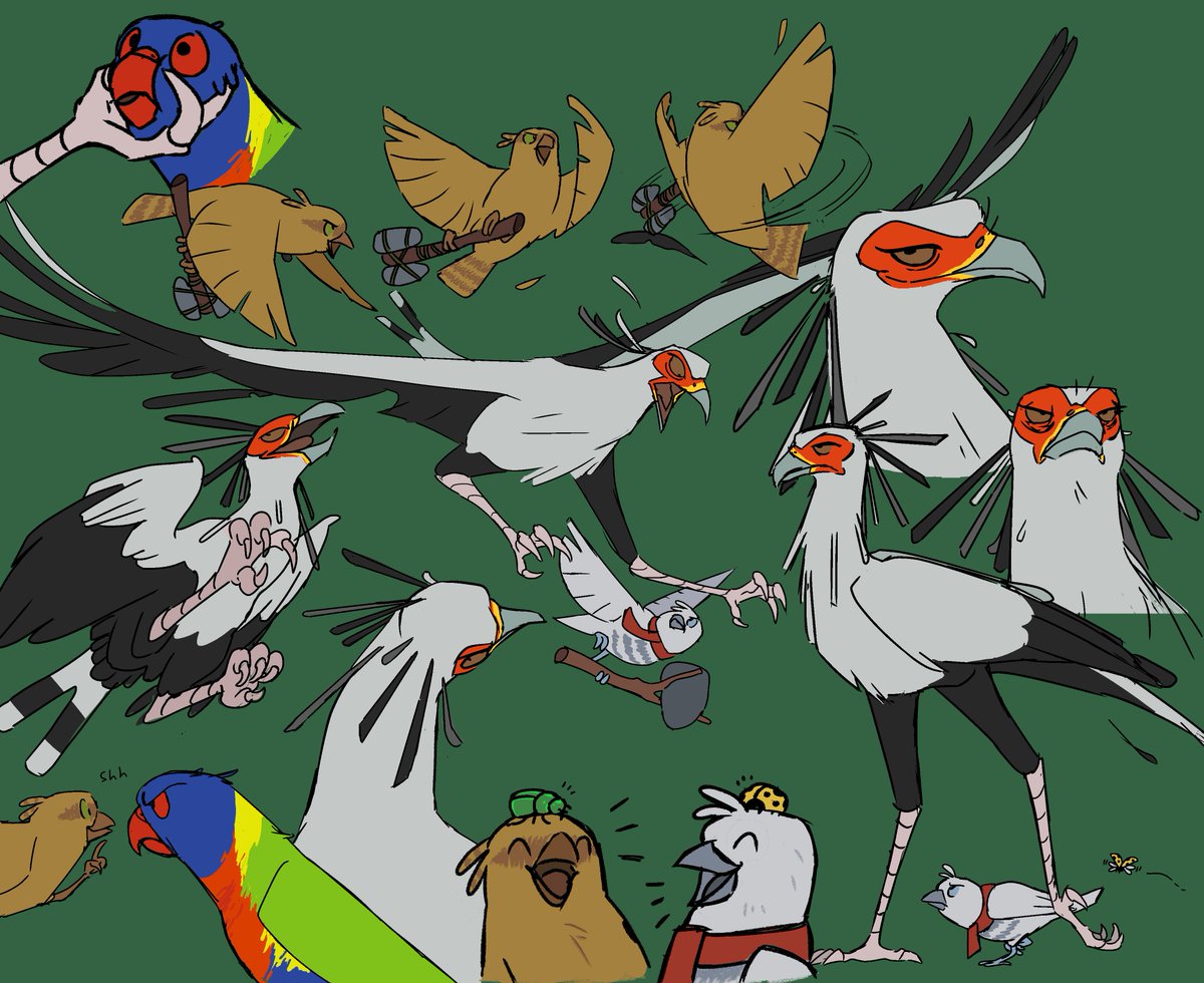 pokemon (creature) bird emphasis lines no humans animal focus beak feathers  illustration images