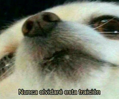 lavozdevilla7's tweet image. Perdono pero no olvido cuando @jpvillamil8 nos dijo que estaban grabando, salió sobreviviste y no tenemos video.