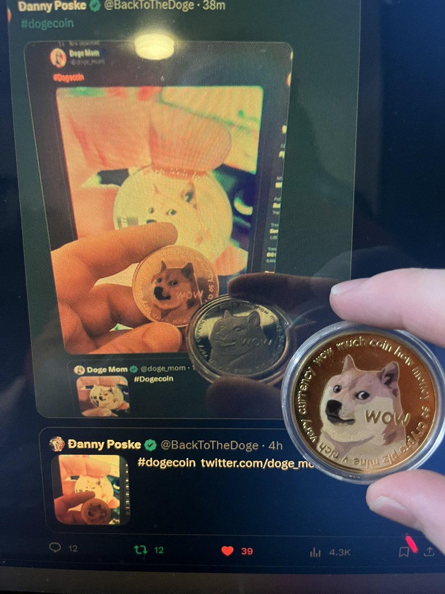CheemsNeil's tweet photo. #Dogeception https://t.co/bX9LgaOdVK