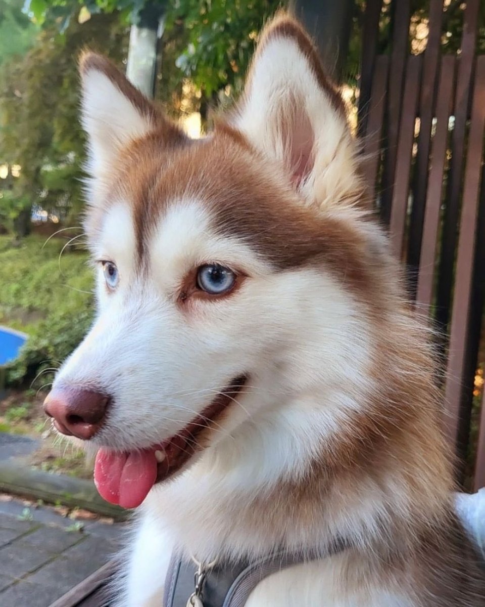 Say hello to my daughter, Bella