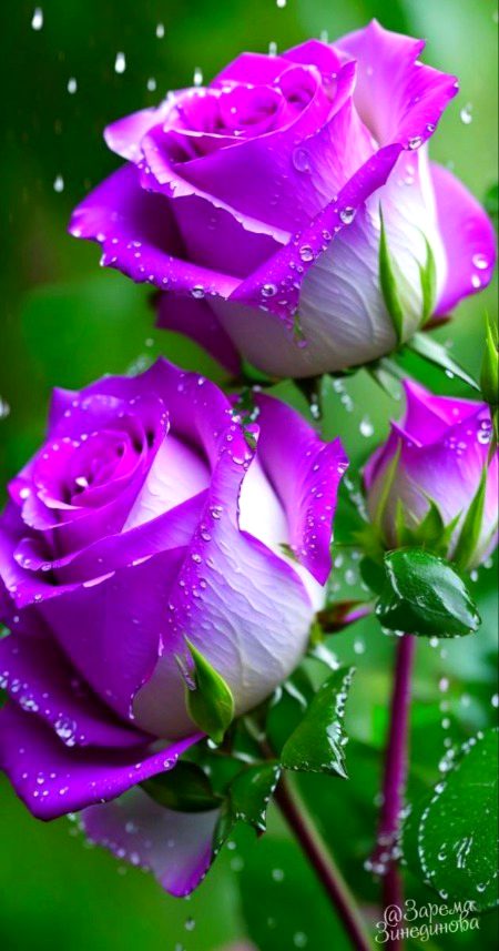 خوش نوائی مثالی ہے اس کی ۔۔۔۔۔

 بات کرتا ہے زخم بھرتا ہے ❤🥀