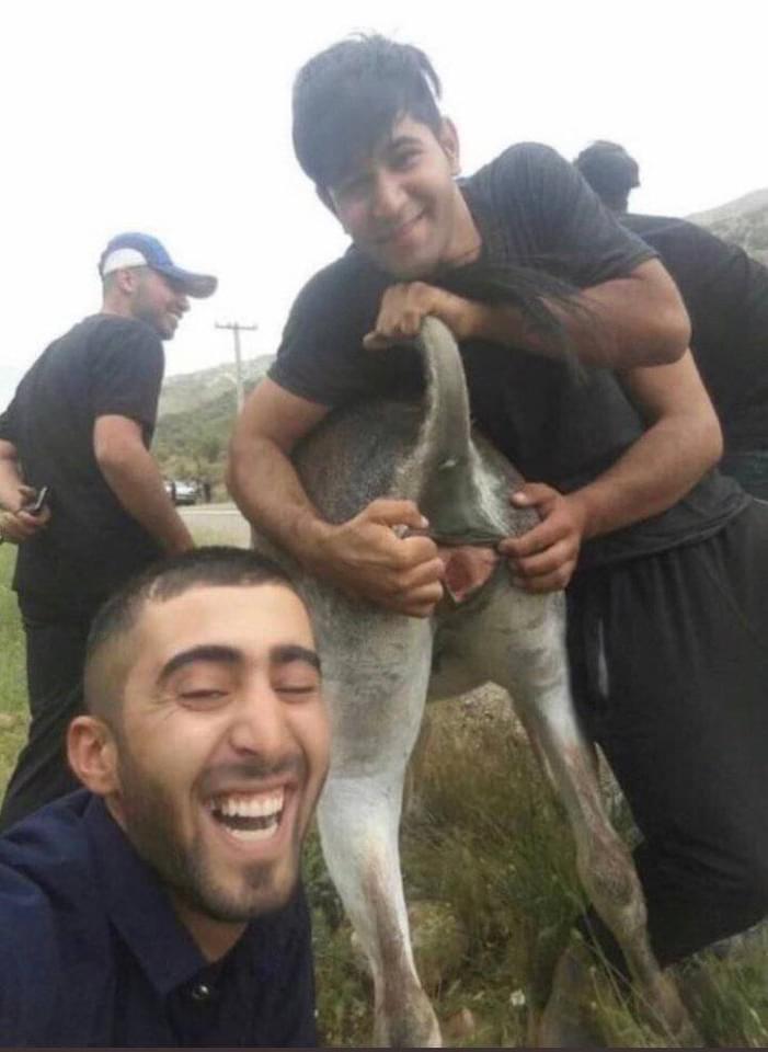 Si en sus países de origen, se dedican a los porros, móvil y follar burras o cabras, cuándo los traemos a España para que hagan negocio cear o cruzmora, y se dedican a violar crías o crío, la gente se extraña?
Hay cientos de violaciones en España silenciadas por ser inmigrantes